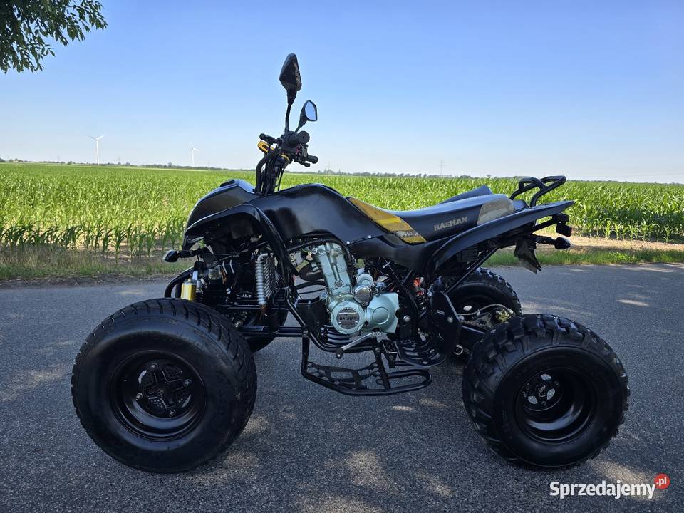 Quad Bashan Bs 250cc Duża Rama 41R Ciecz 2014r Kruszwica
