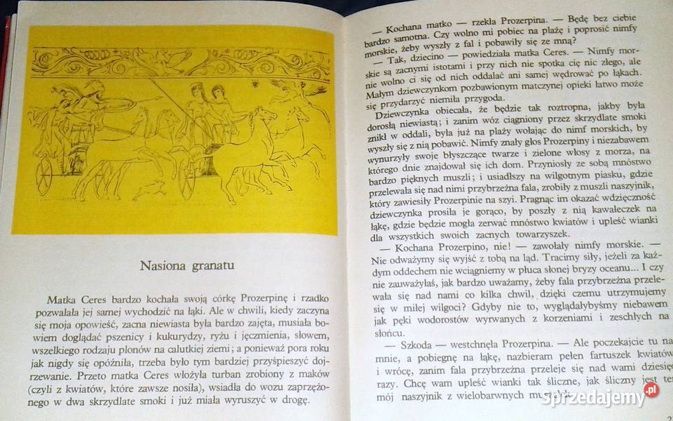 Opowieści z Zaczarowanego Lasu Nathaniel Chełm