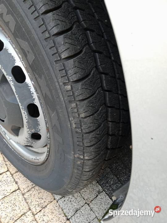 Vivaro 16 L2H1 Mogilno