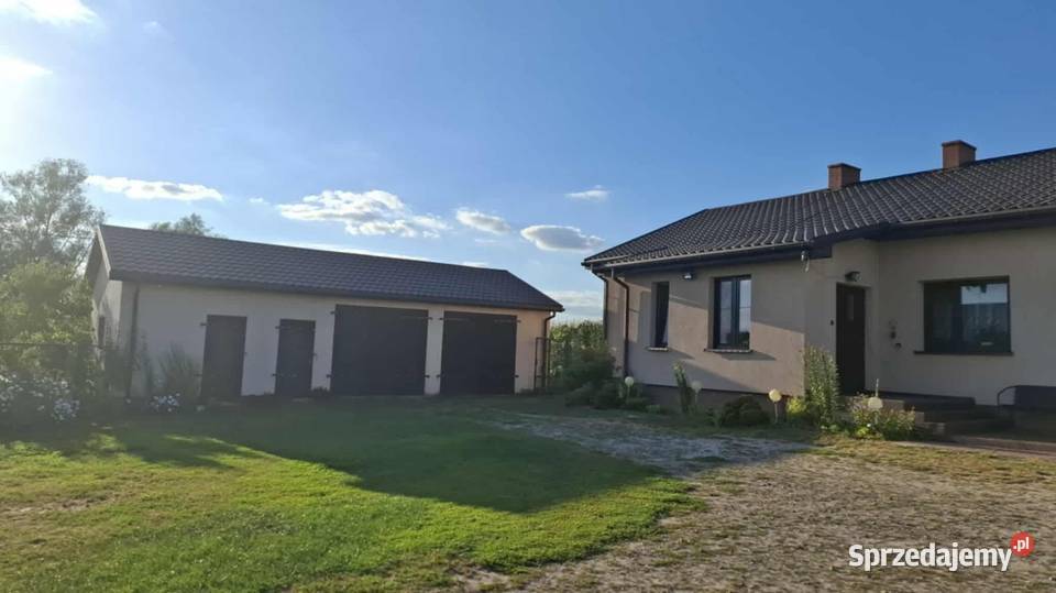 Siedlisko gospodarstwo ziemia rolna dom Piskorczyn