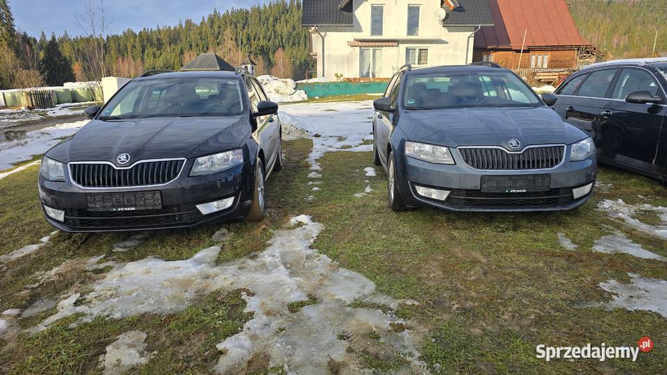 Skoda Octavia Combi 20 TDI 150 4x4 Sieniawa