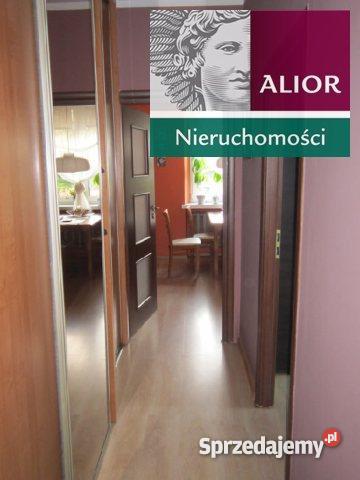 mieszkanie 4970m2 2 pokoje Chorzów śląskie Chorzów
