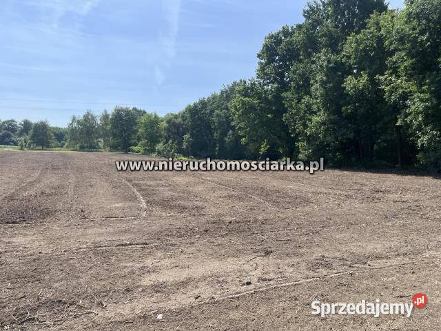 Grunt 1032m2 Skrzyszów śląskie