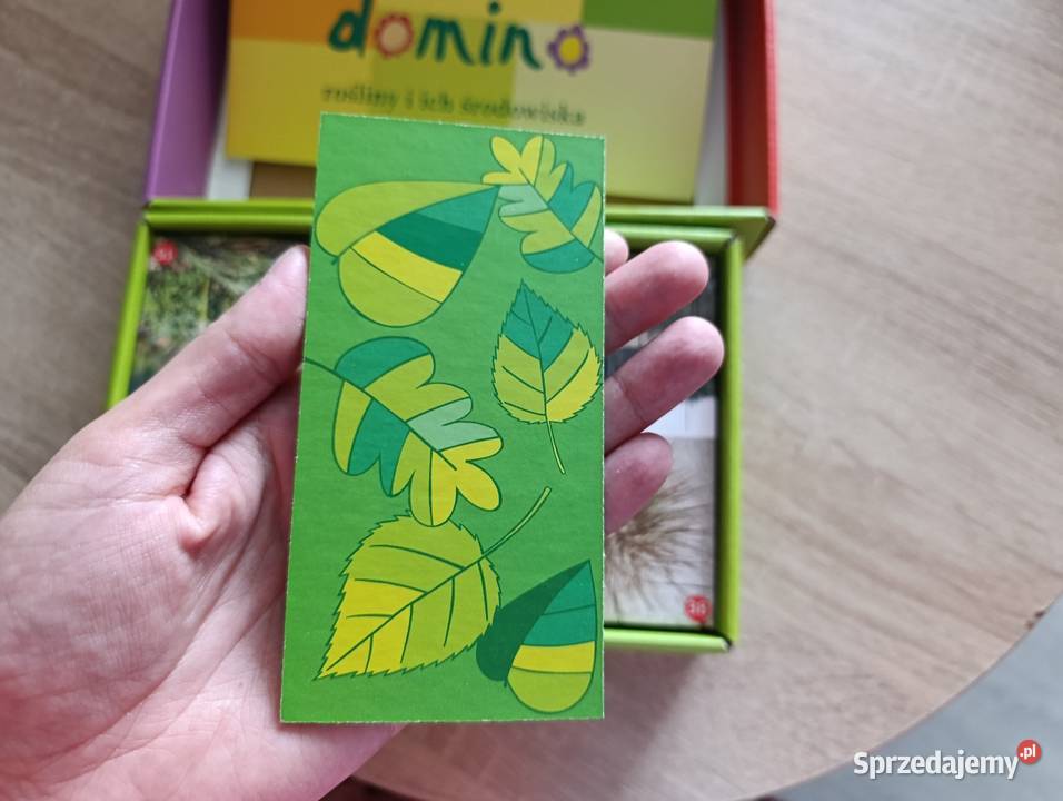 Zielone domino rośliny i ich środowiska Kwidzyn