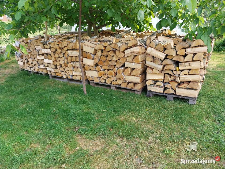 drewno opałowe brzoza