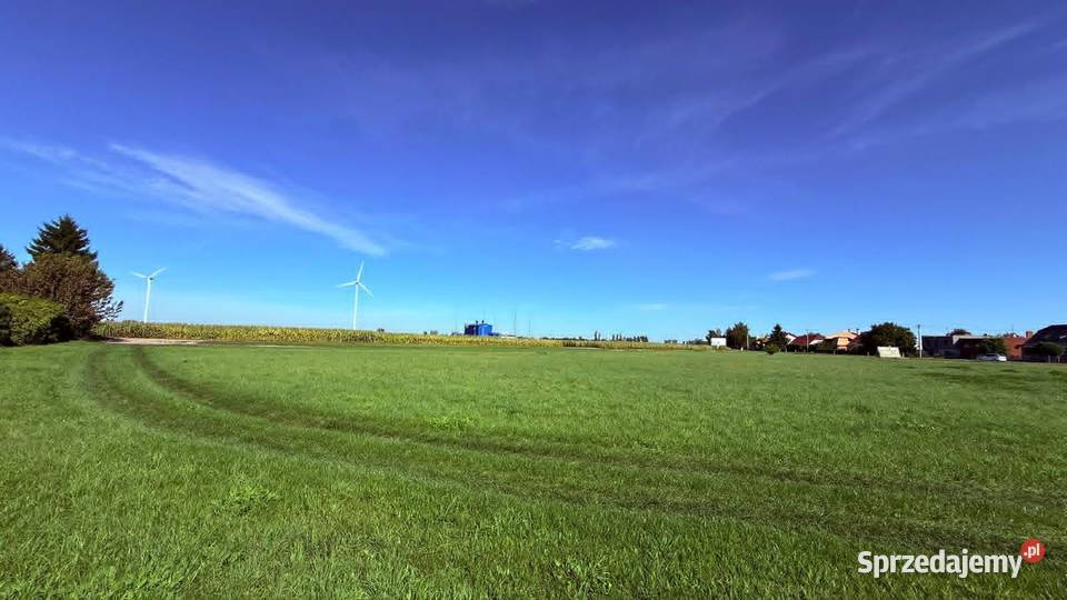 MIŁOSŁAW DK15 GOTOWY GRUNT POD INWESTYCJĘ 117 ha