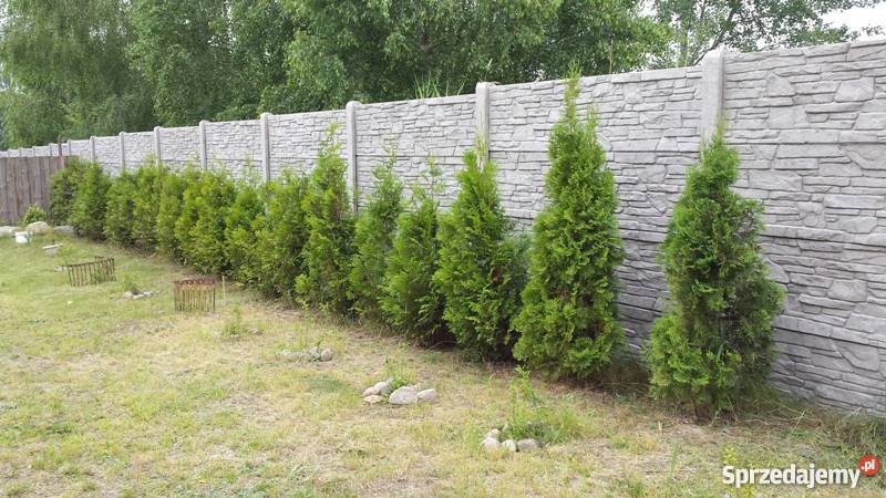 Sprzedam dom 135m2 działka 17200m2 Bezpośrednio Nieruchomości Sochaczew