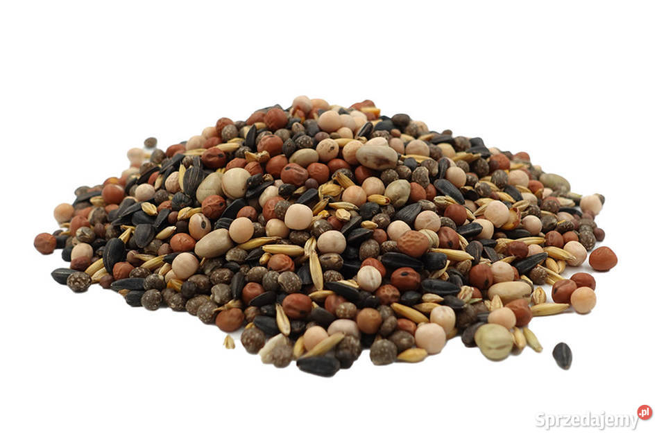 Mieszanka strączkowo zbożowa Poplon 25 Nawóz Cieśle sprzedam