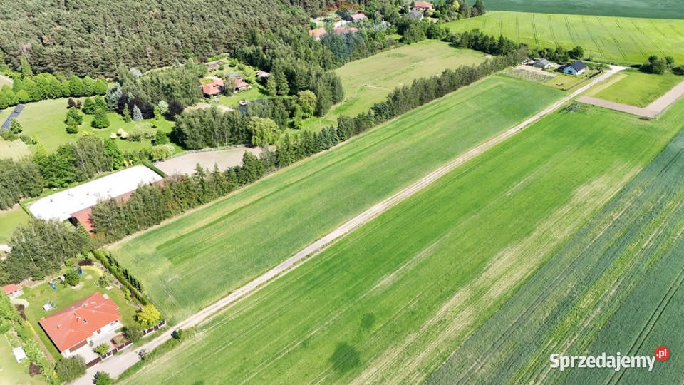 Kicin kPoznania3007 m idealna pod dom Sprzedaż wielkopolskie