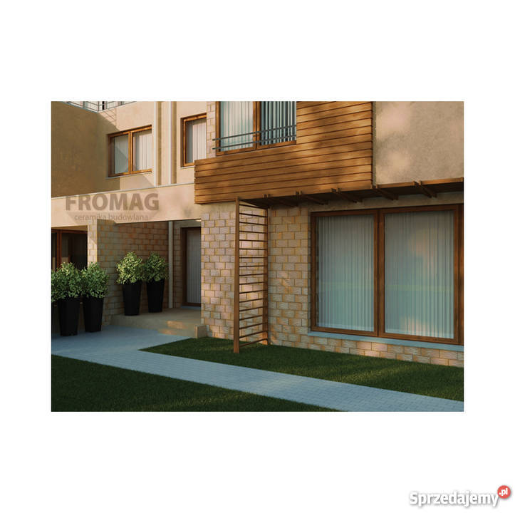 ELEWACJA Kamień szlachetny Aragonit Koral Jaspis dolnośląskie Głogów sprzedam