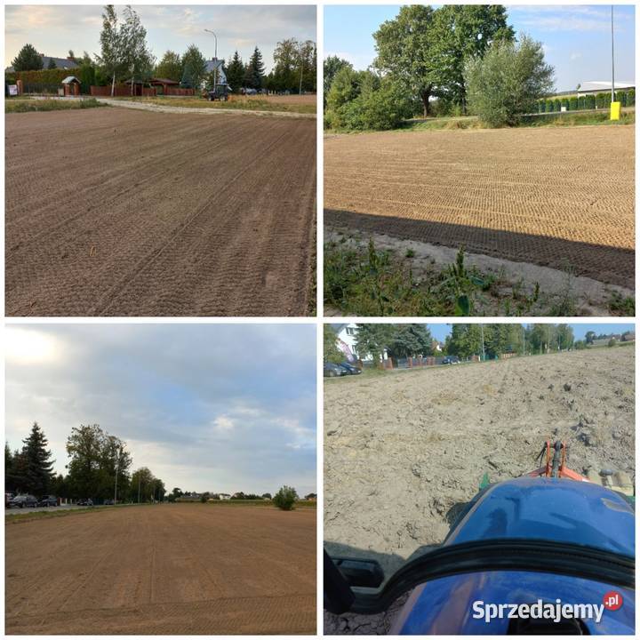 GLEBOGRYZARKA KOŃSKOWOLA