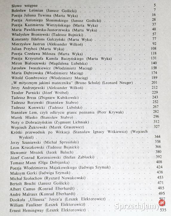 Autorzy naszych lektur Szkice o pisarzach Rok wydania 1987 Chełm