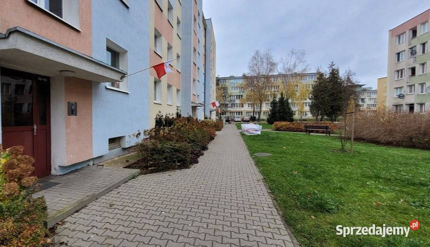 sprzedaży mieszkania Olsztyn Kołobrzeska 48m2 3 wielka płyta