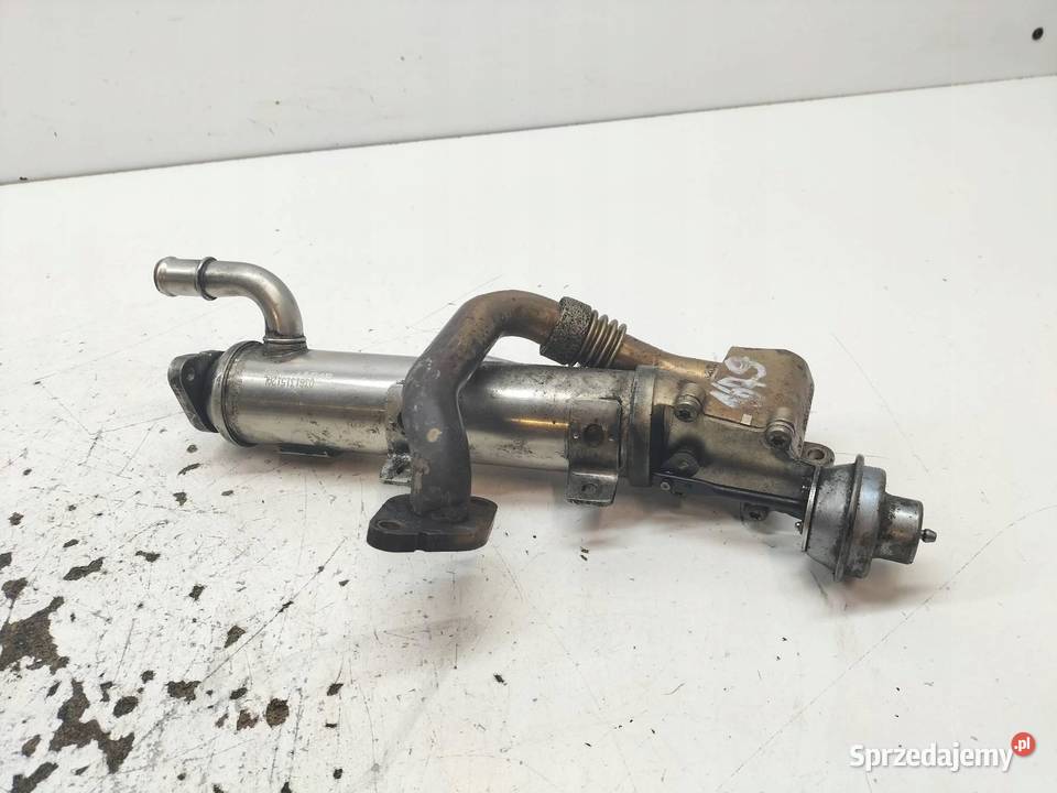 CHŁODNICA SPALIN 03G131512AL 20 TDI Audi A4 III