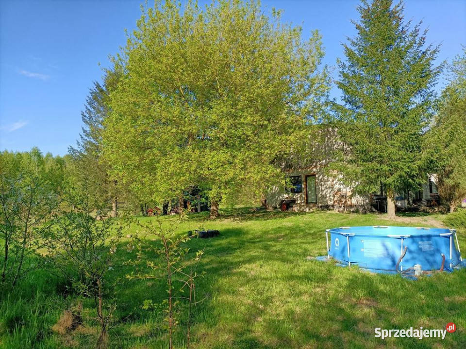 Siedlisko w cichej okolicy 100 Warszawy 17000m2 sprzedam