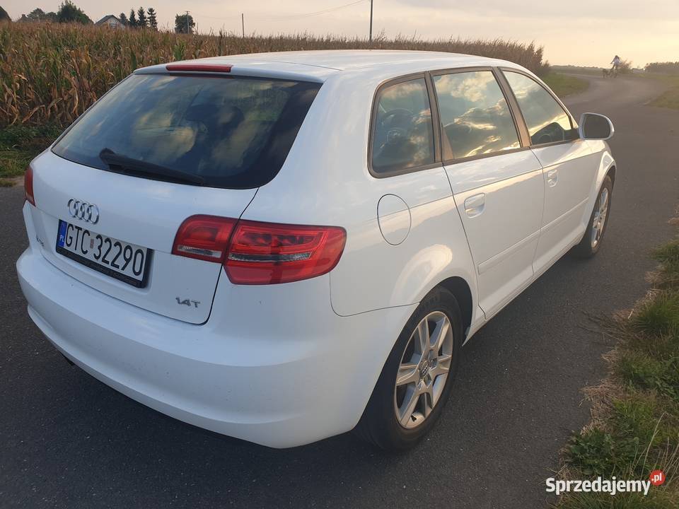 Audi A3 II 8P 14T 2009 144 SPORTBACK światła do jazdy dziennej A3 Chełmno