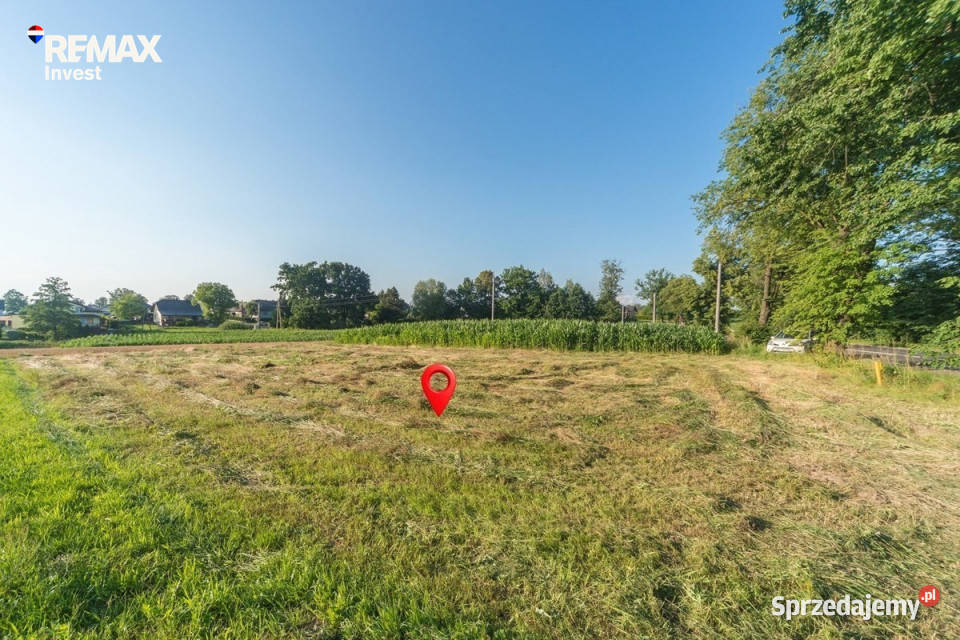 Zainwestuj w lokalizację z potencjałem 1020m2 Dankowice sprzedam