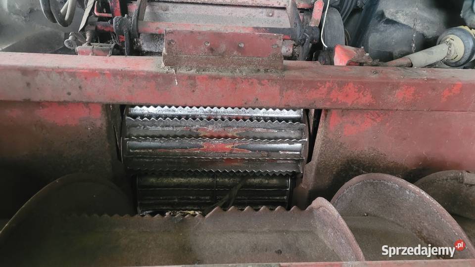 Sieczkarnia Mengele sf6000 claas jaguar Konin