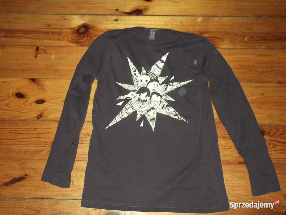 Bluzka koszulka rozmiar 140 Zara Kids Zara Legnica