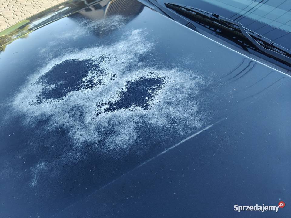 Skoda Fabia 20 115 Kombi Motoryzacja Sędziszów Małopolski