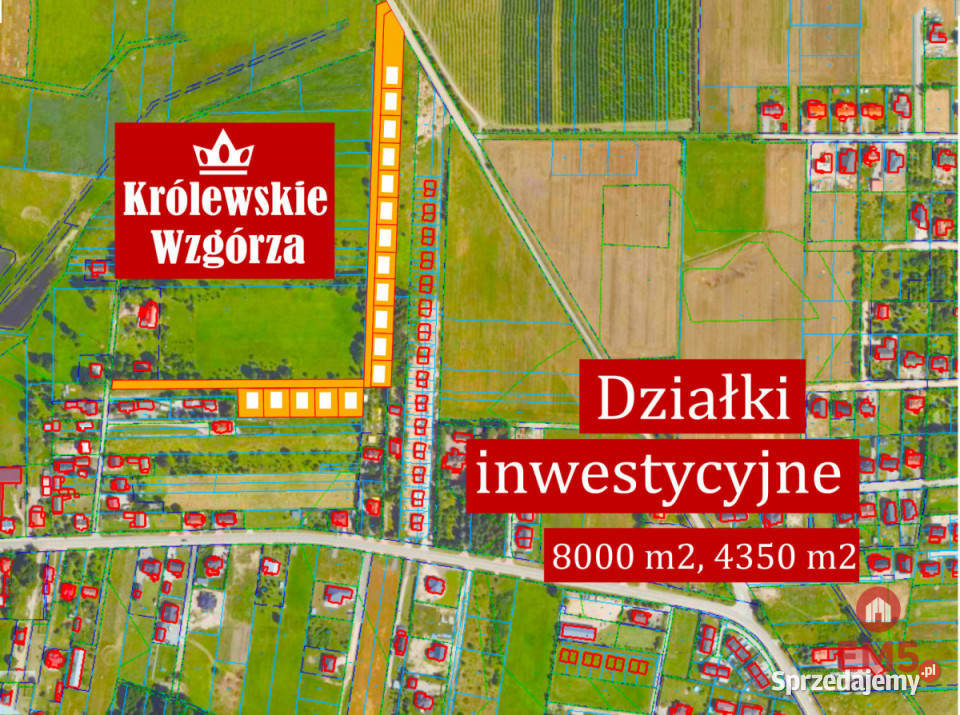 Działkę sprzedam 10000m2 Nowe Aleksandrowo Grunty i działki sprzedam