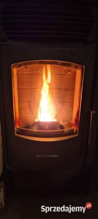 PELLET Sosnowy 100 podkarpackie Sanok