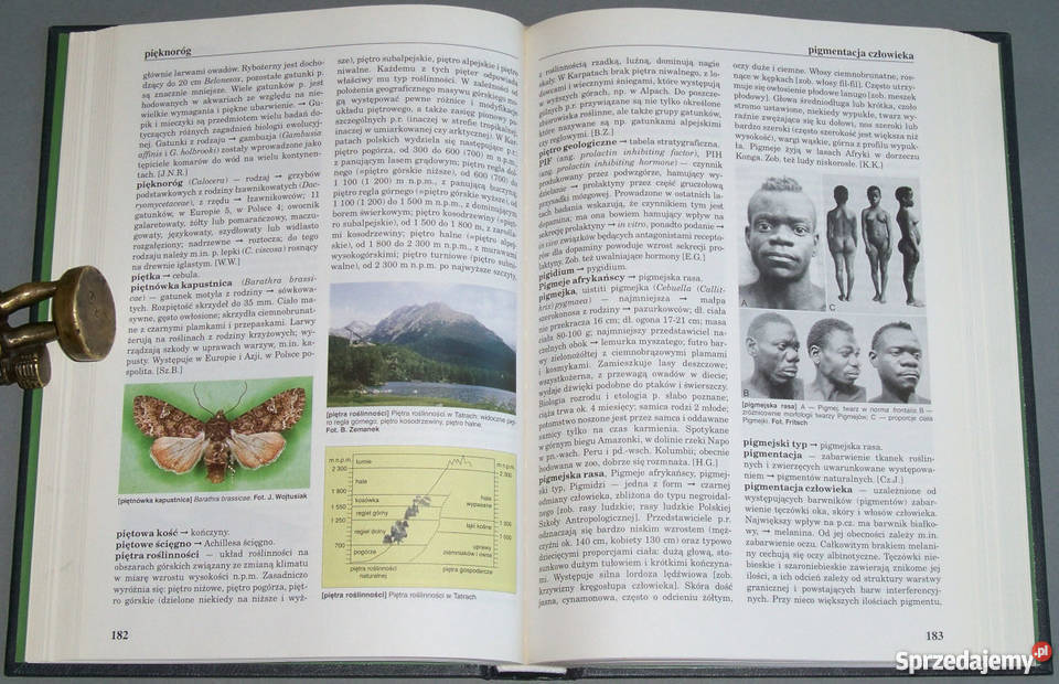 ENCYKLOPEDIA BIOLOGICZNA zestaw 13 tomów fa Goleniów