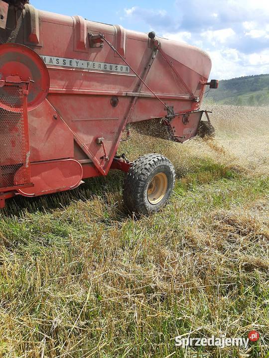 Sprzedam kombajn massey ferguson 87 mf nieuszkodzony Kombajny Wara