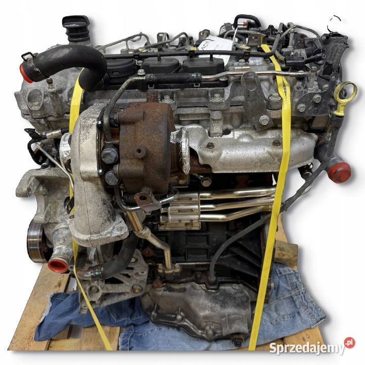 SILNIK A22DM Opel Antara Chevrolet Captiva 22 osobowe Chełm