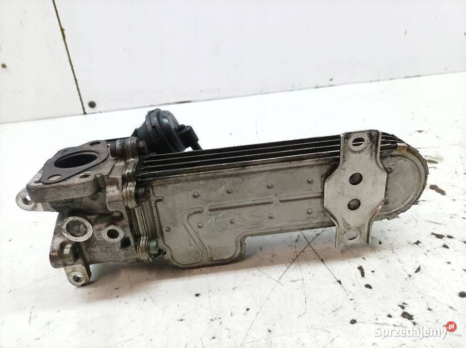 CHŁODNICA SPALIN 03G131513 20 TDI VW Volkswagen Rok produkcji 2004