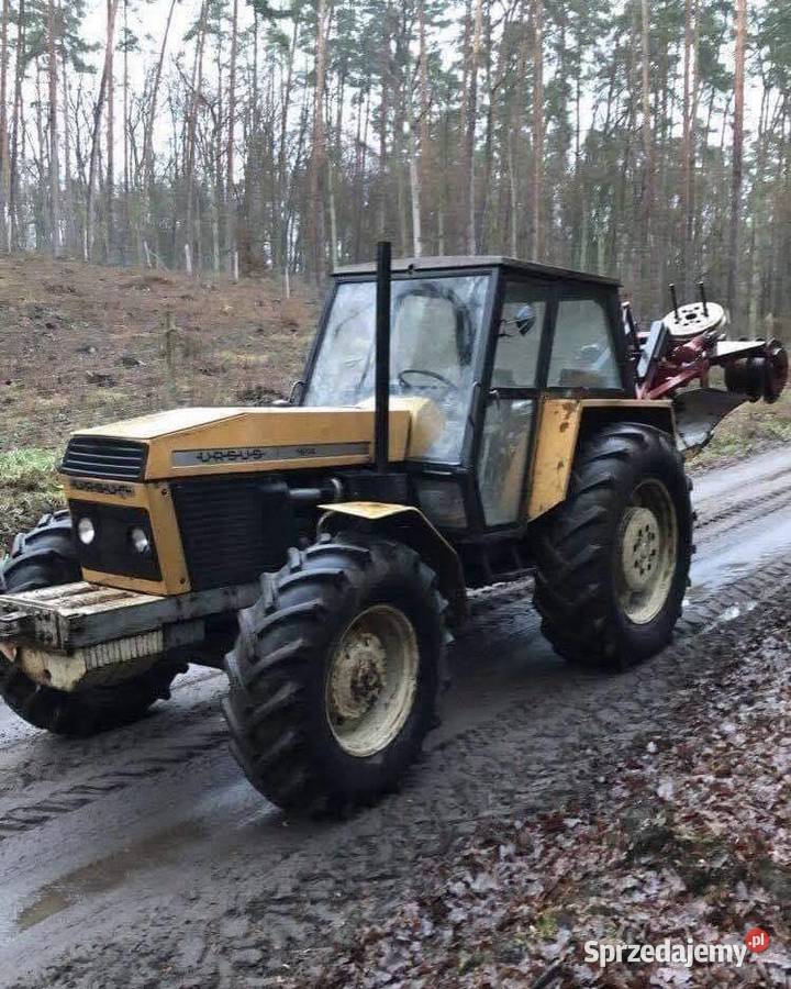 Ciągnik rolniczy Ursus 1614 z 1986 roku Brodnica