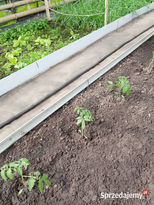 Obrzeże plastikowe z pancerza z rolety Tomaszów Mazowiecki