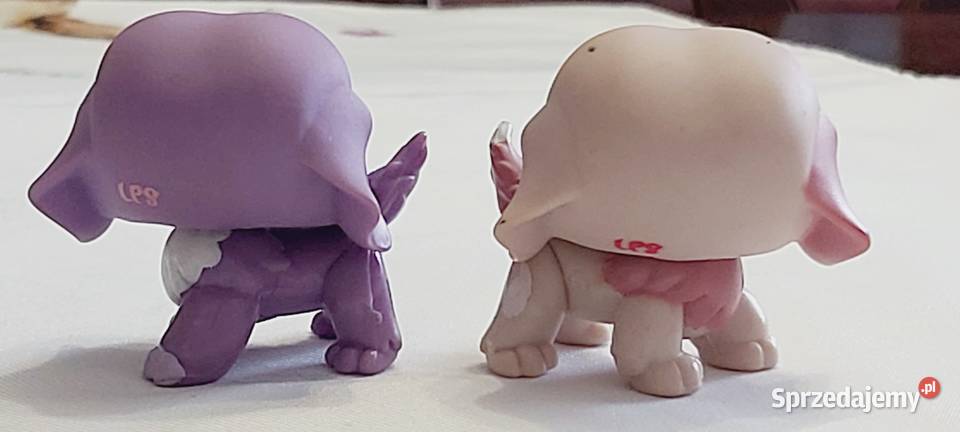 Pieski bernardy zestaw LPS Hasbro Braniewo