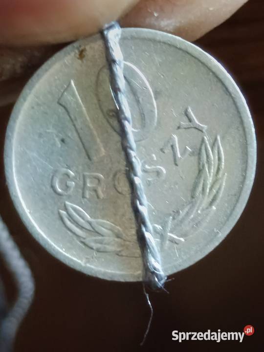 sprzedam 10 gr 1974 r lekka skretka Chełm