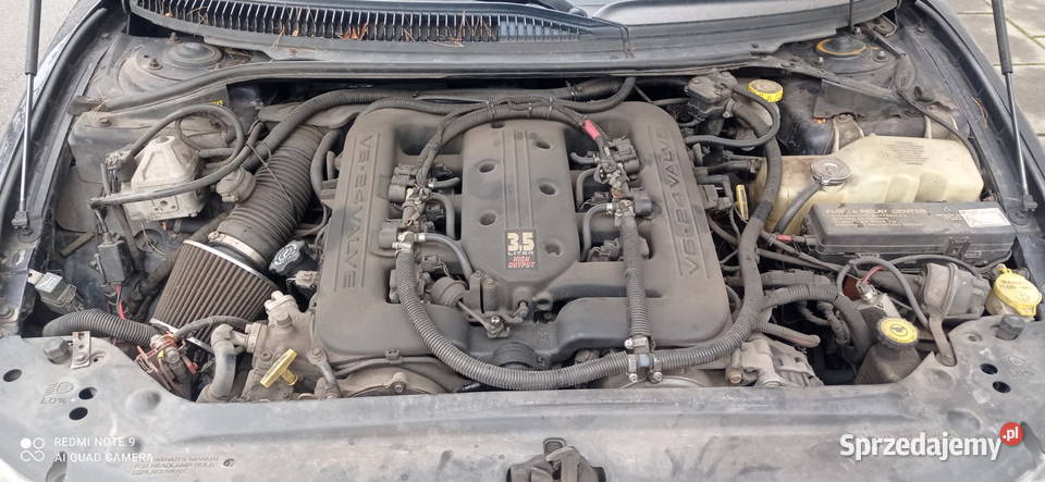 Chlysera 260 koni Sosnowiec