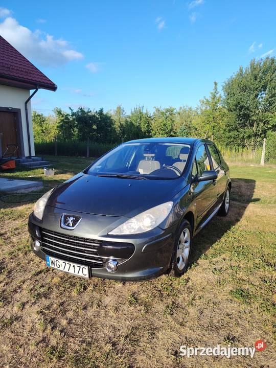Peugeot 307 16 benzyna mazowieckie Wilga