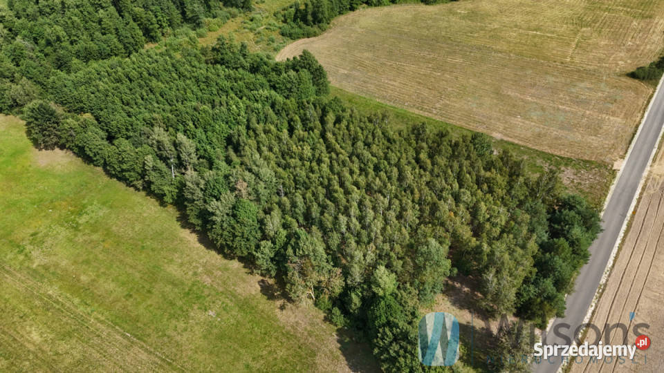 sprzedaży gruntu Sokołowo Włościańskie 7100m2 mazowieckie