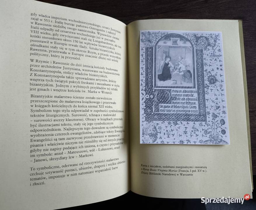Tajemnice ksiąg rękopiśmiennych Bogdan Horodyski Rok wydania 1987 Warszawa