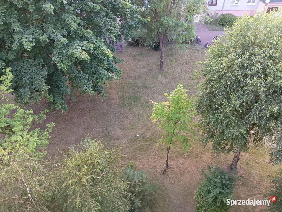 Mieszkanie na sprzedaż Rok budowy 1990 Pionki