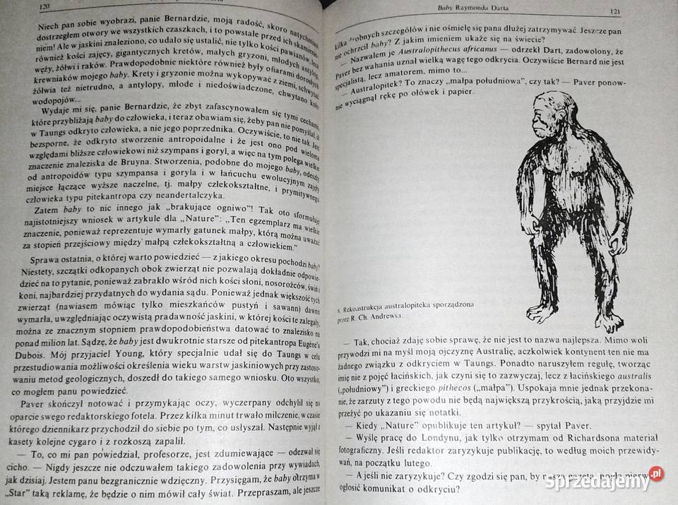 W poszukiwaniu przodków człowieka Witalij Pozostałe Chełm