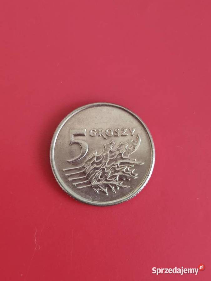5 groszy 1993r w kapslu ochronnym Kolekcje Lębork