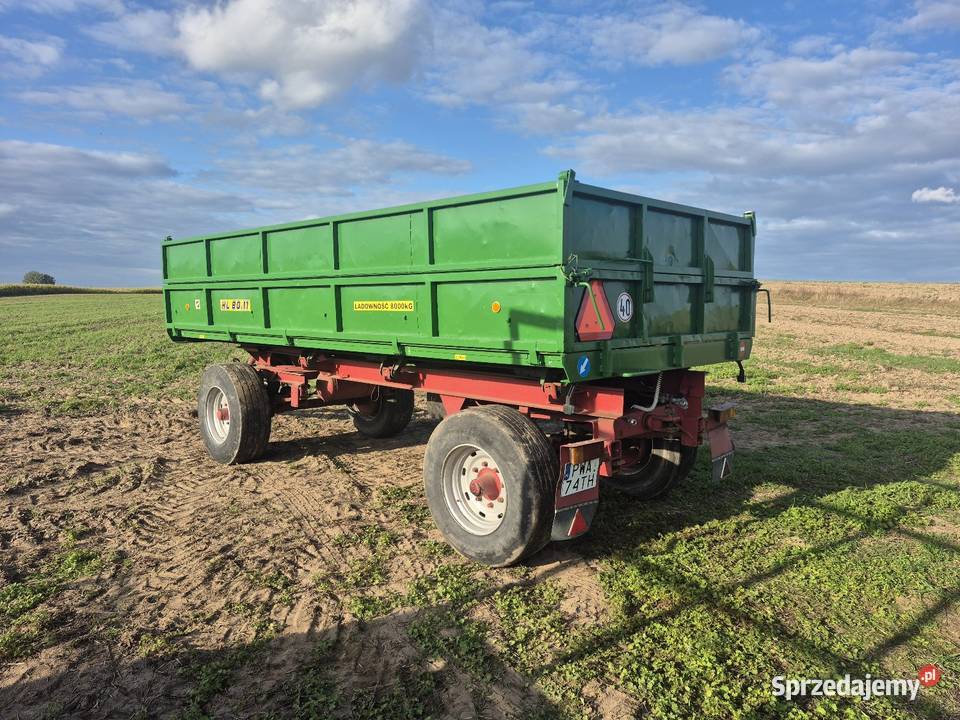 Przyczepa ifa hl 8011 6011 pronar wielton zasław Wągrowiec sprzedam