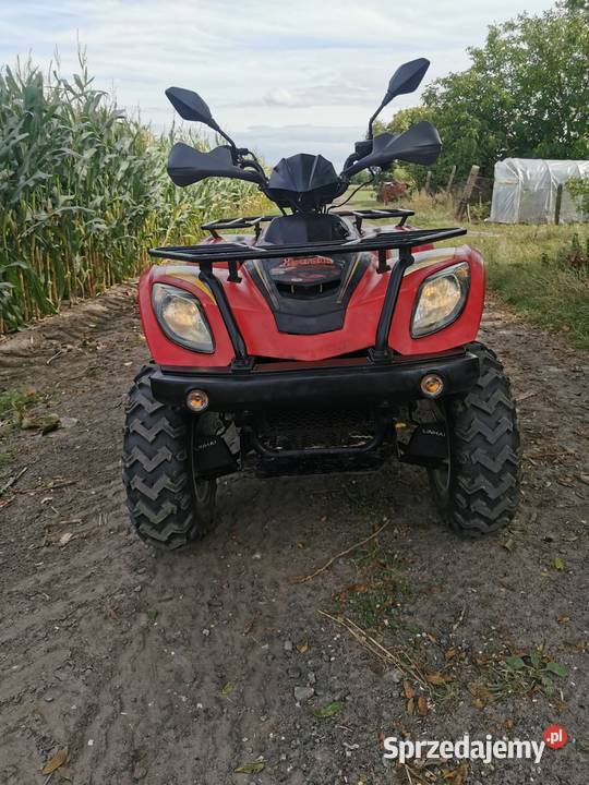 Quad Linhai 300 homologacja l7e hak quad - ATV wielkopolskie Rawicz