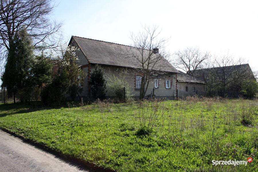 Dom gospodarstwo Wilkowiecko gm Opatów pow Kłobu Domy Nieruchomości
