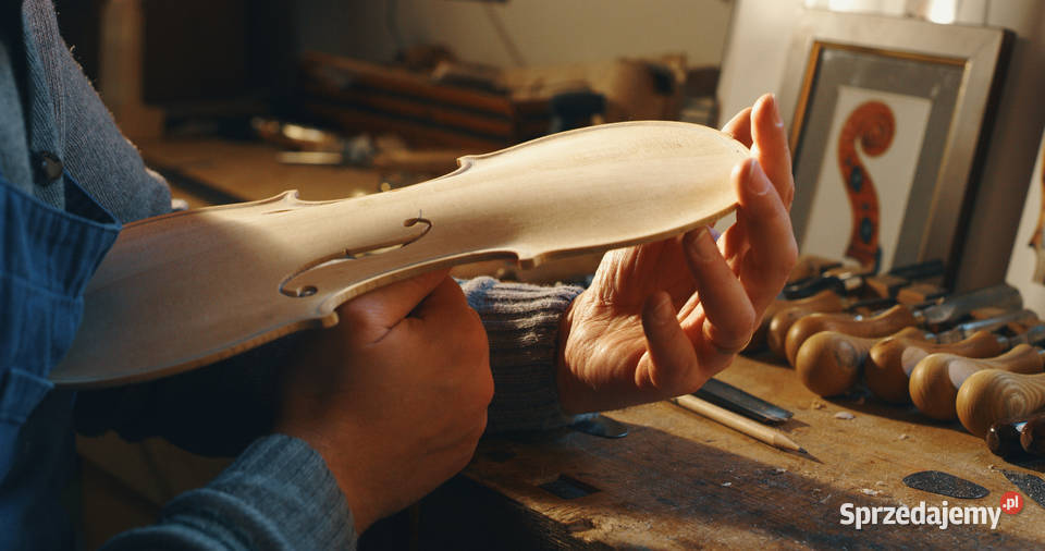 Profesjonalny Lutnik Serwis Instrumentów Białystok