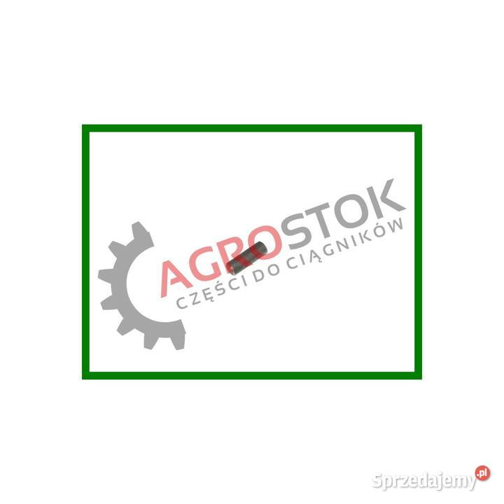 Kołek m16 t25 Parczew