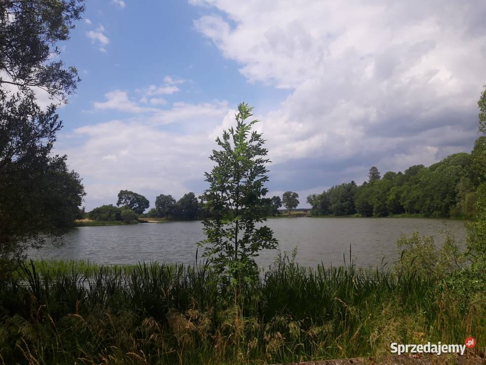 Działka budowlana drodze asfaltowej Darżewo