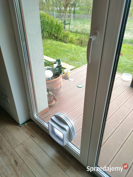 Drzwiczki kota psa montaż w drzwiach oknie małopolskie Kraków usługa