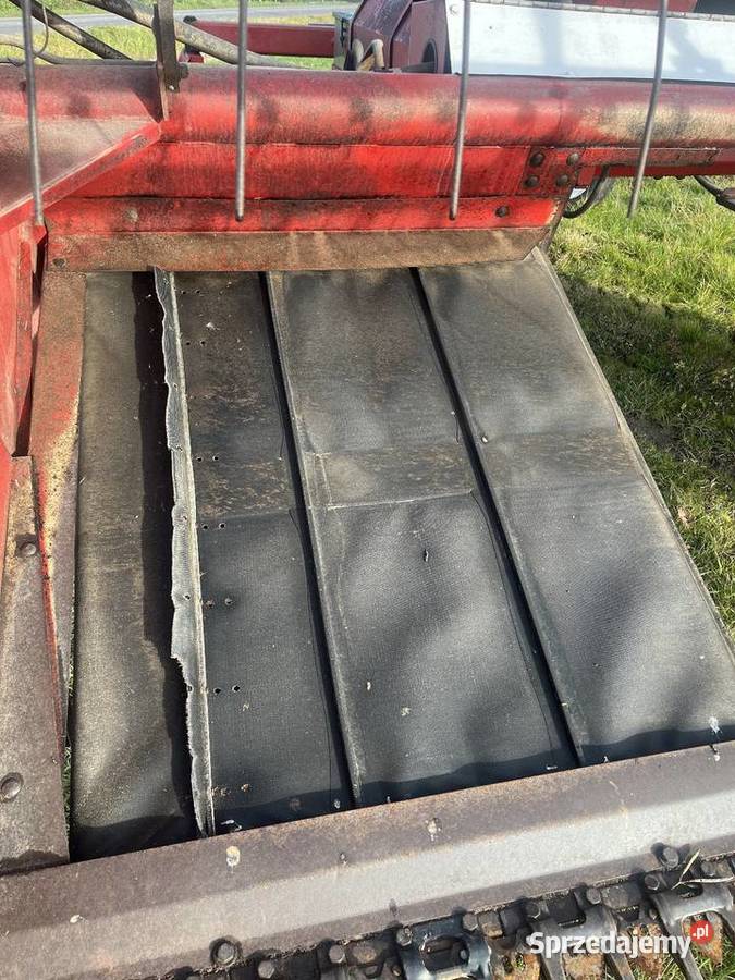 Pokosówka OWATON Topola Królewska