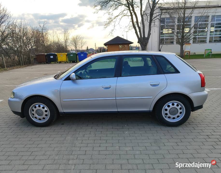 Audi A3 8P 16 benzyna Jabłoń